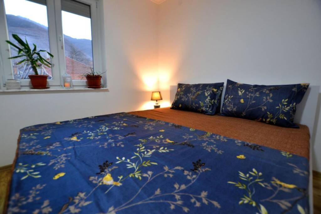 View Apartments Belasica Mokrijevo Bagian luar foto